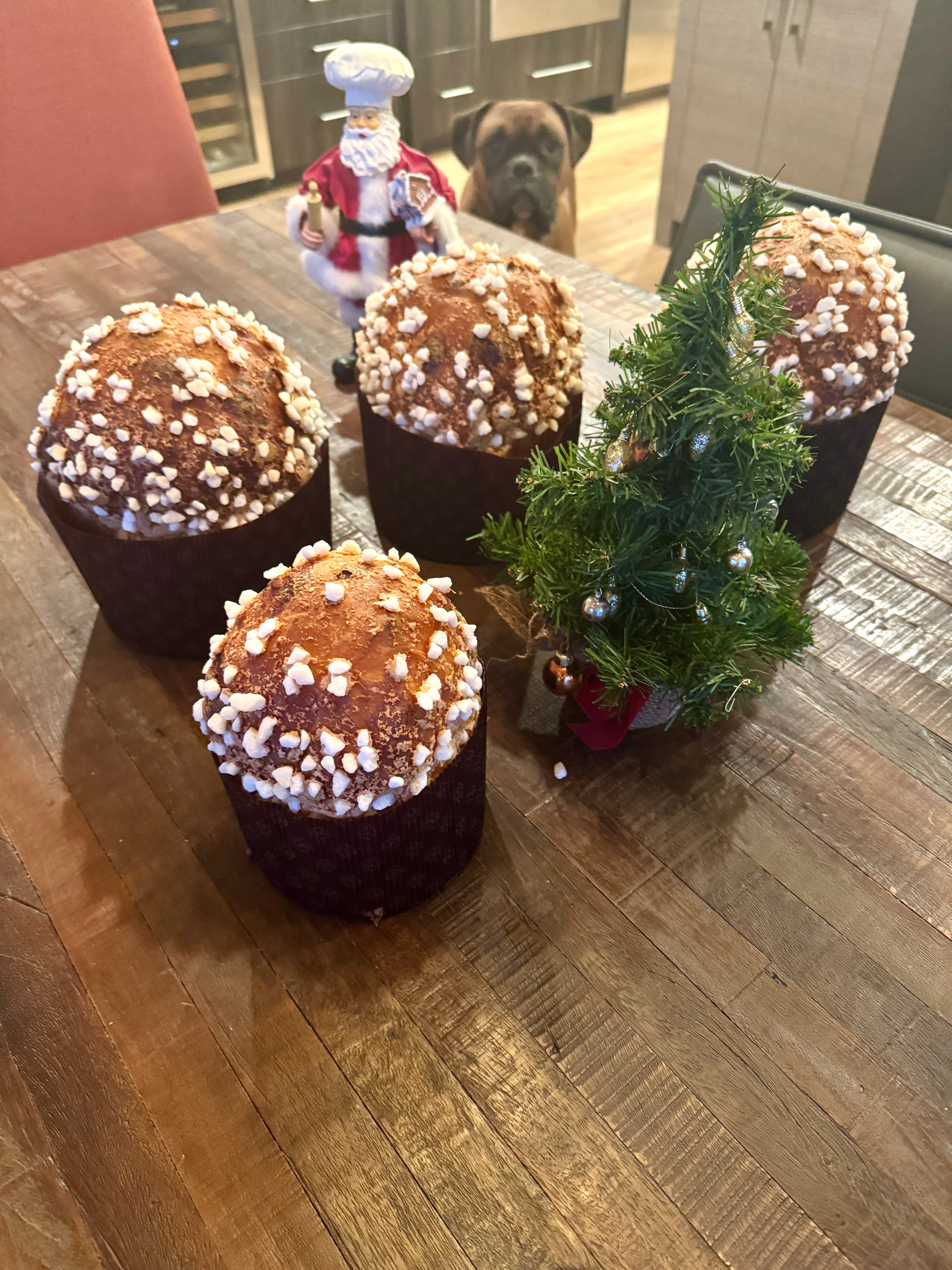 Double Chocolate and Orange Panettone